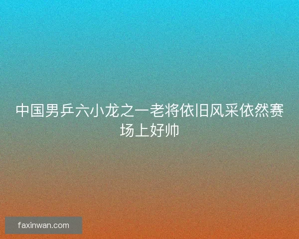 中国男乒六小龙之一老将依旧风采依然赛场上好帅
